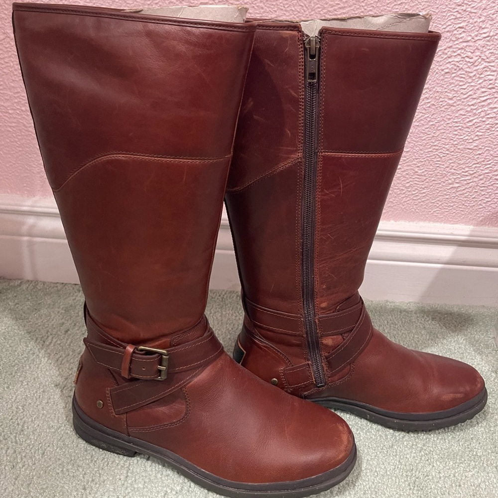 Used Evanna uggs